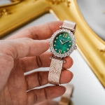 STELLA 71931-CGGRCG-2