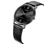 ECO-DRIVE CLASSIC AR1135-10E