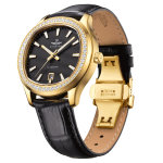 AUTOMATIC CLASSIC SG88801.4601AT