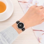 CLASSIC SL3004.4101CV