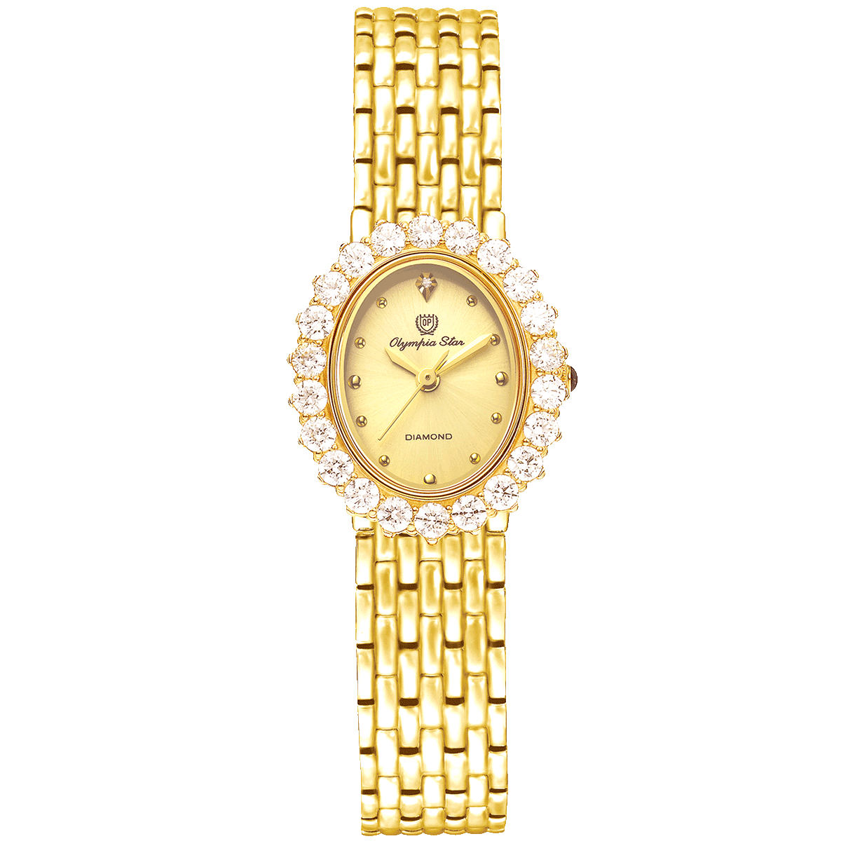 PARTY LADY OPA28006DLK-VV