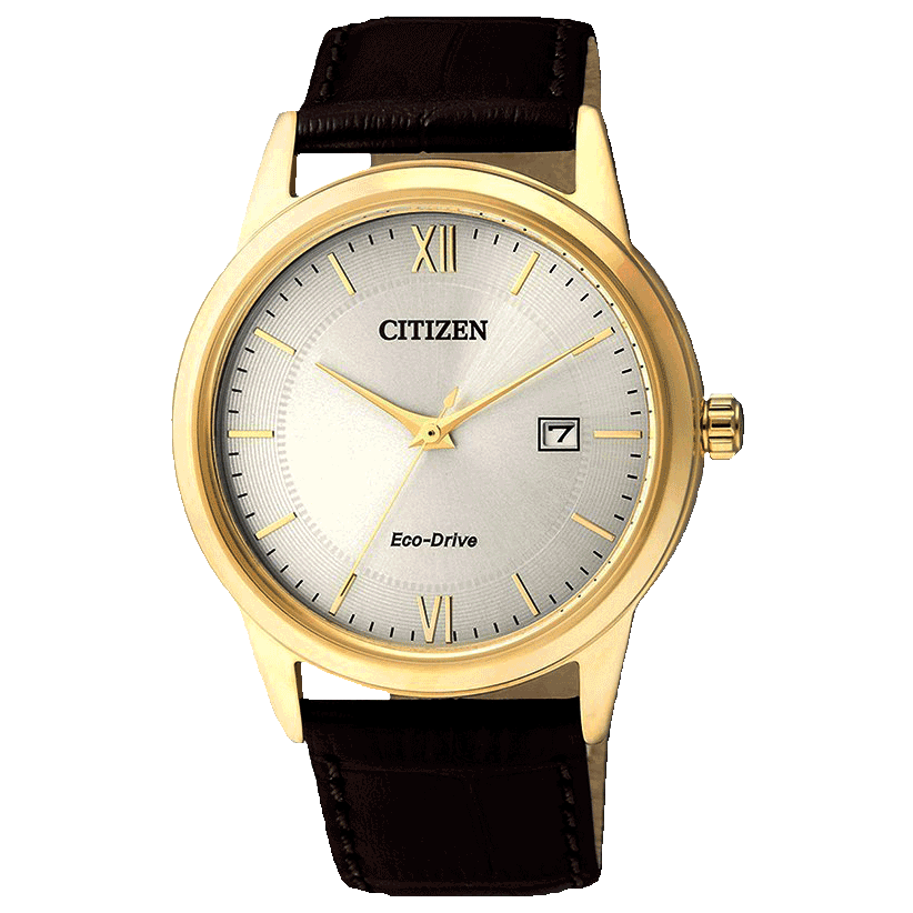 ECO-DRIVE CLASSIC AW1232-12A