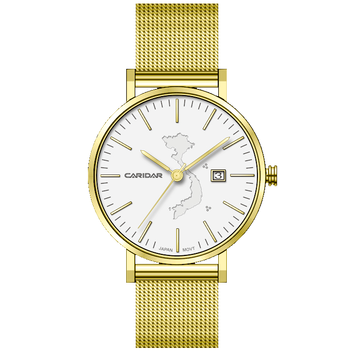 CLASSIC S MAP DIAL CAR776L-VT